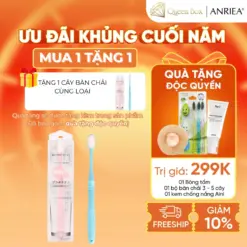 Bàn chải đánh răng người lớn Anriea