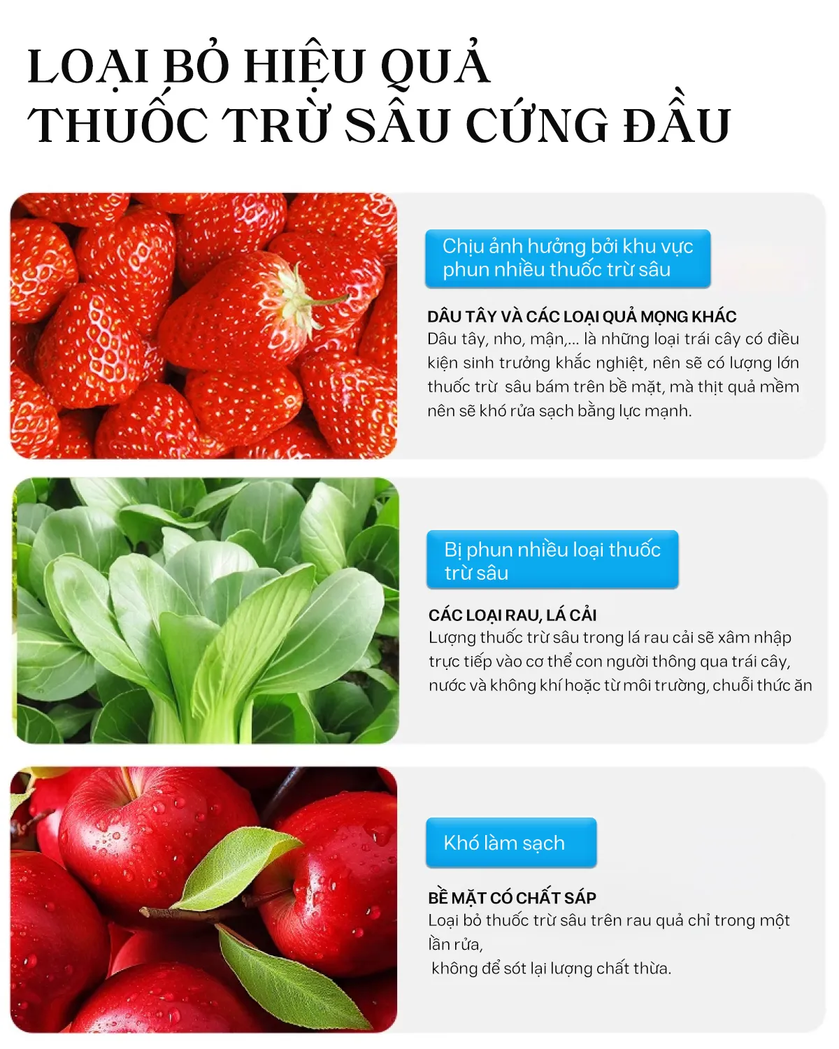 Chiết xuất hương cam, táo, me rừng tự nhiên